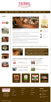 Morel création site web référencement