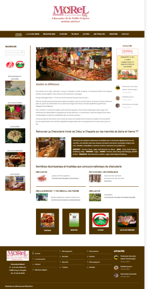 Morel création site web référencement