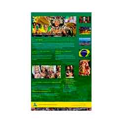 EferbeCom-BrasilTeam-Temoignage-creation-site-adwords